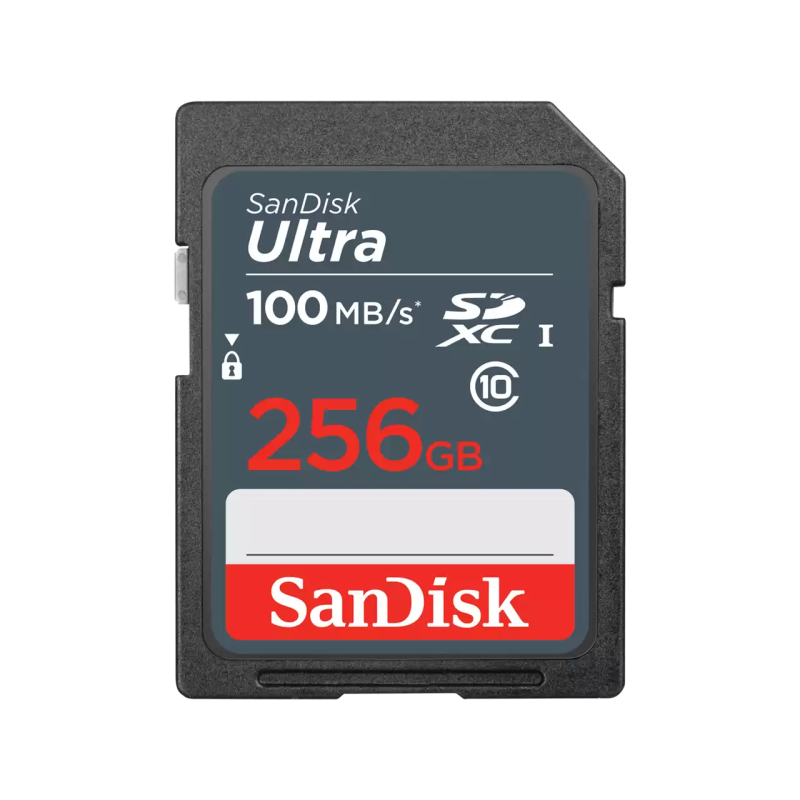 Carte mémoire SanDisk Ultra SDHC / 256 GO / CLASS 10